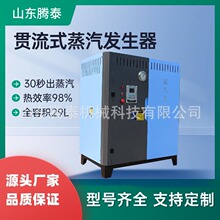 腾泰全预混超低氮柴油天然气甲醇贯流式蒸汽发生器新规全容积30升