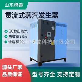 腾泰全预混超低氮柴油天然气甲醇贯流式蒸汽发生器新规全容积30升