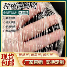 ������B�W�����W������B�W���@�~���Bֳ�W�@�־W���ѷ��B�W