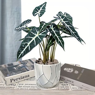 С��Ů��������~�^��ɏ��������ֲ���҃Ȼ���������՚�����ȩ