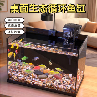 Black-Backed Glass Base Home Aquarium Living Room Ecological Desktop Ecological Circulation Filtration Glass Black-Backed Goldfish Tank