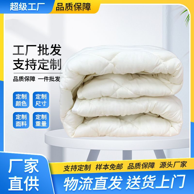 Beige Brushed Fabric Pillow Fiber Quilt Wholesale New Four-Season Air-Conditioned Quilt Core Double Winter Quilt Spring and Autumn Quilt Summer Cool Quilt