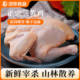 �V�|���S�u�r�����u�חl�u�ߵ��u���r�F�����uʳ�ÌWУ���l