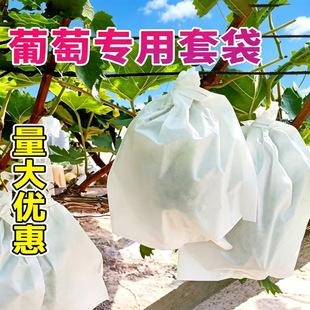 �o���������״����x���Bˮ���״��ח��Ҍ��ô���¶������ѵĴ���