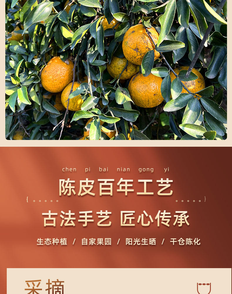 20 Year Xinhui Chenpi Dried Tangerine Peel Chen Pi 500g Aged Red Peel for Tea and Cooking key features