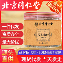 北京同仁堂罗布麻 新疆罗布麻罗布麻叶罐装一件代发新疆罗布麻现