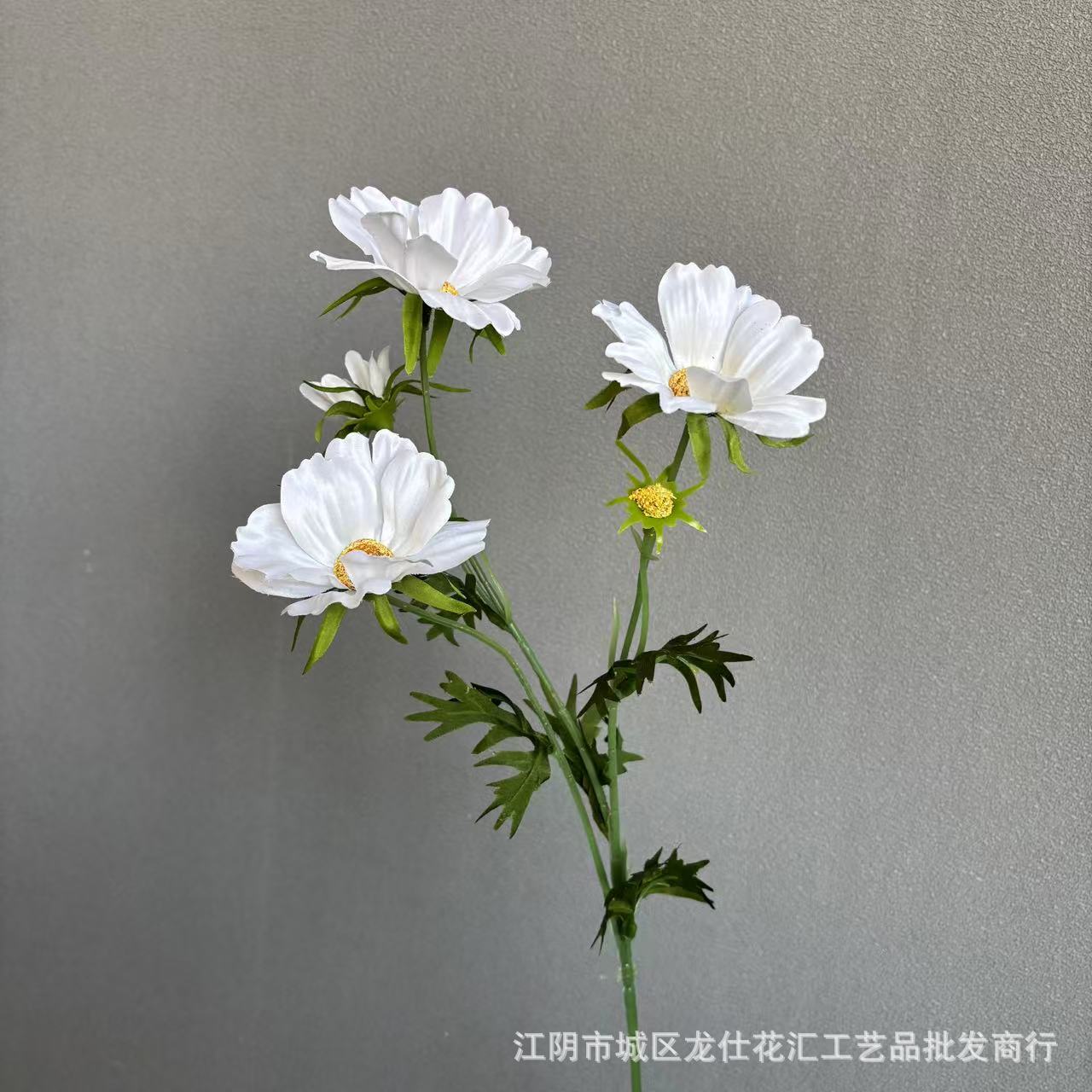 4송이 게상 꽃