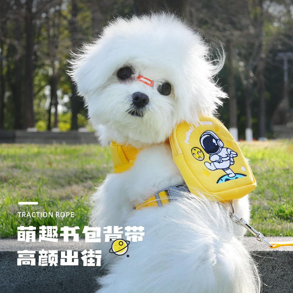 Nueva mascota pecho Correa chaleco mascota pequeño trasero pequeño perro caminando perro cuerda perro Correa en stock