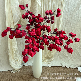 �¿���滨���\����ĭľ�޹���c�͹Ż�Y�����廨�Ҿ�ܛ�b�b�