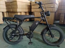 ebike}һl20̥Lm늄܇ԽҰĦ܇