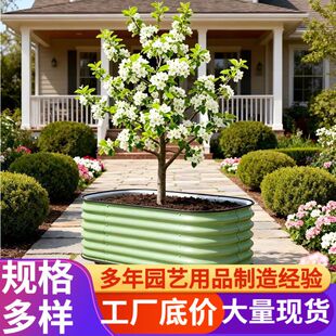 �ƄӷN������������̨�N�˽��ٷNֲ��Ͻ���һ�ײˈ@������