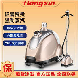 红心商用铜芯挂烫机服装店家用蒸汽手持立式大功率熨烫机YSH-2713