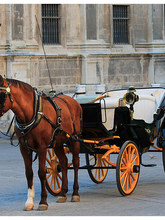 �Wʽ�����^���R܇�W�޽��^�d����݆�R܇���^�[���R܇�͹��R܇