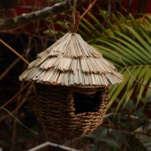 ���B�݄����B��Ғ�ݾ������B���ݸC�¿��B�C��ֳ�µ���