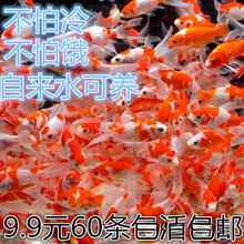 С�͵�ˮ�^�p�~�ͻ���B��ˮ���~�^�p�~���~���~��С�~�t���\��