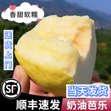 ���xܛŴ���ͰŘ�5�� ��֬�t��ʯ���uʺ�����r�V���S��������Ř�