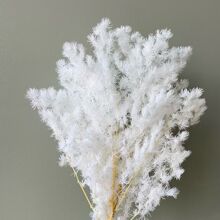 �����ɻ����R�ɱ��r��diy�����ֹ����϶Y�ﻨ�Ļ�c�ҾӲ廨�b�