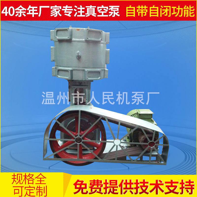 大量生产小型电动真空泵 立式真空机组 立式真空泵 WL-300