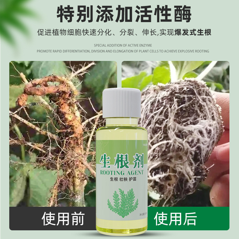 高速根液粉剤移植挿根水栄養液植物共通強力多肉壮苗根剤|undefined