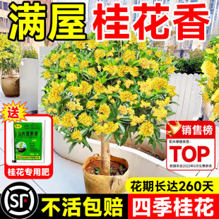 𻨘ļԽ𵤹̨҃ͥԺԝͻֲ