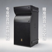 15寸两分频夹板箱体喷漆大号角线阵音箱钕磁单元线阵音响线阵音响