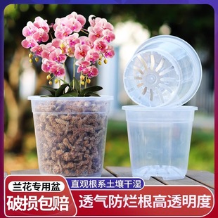 High Transparent Rigid Plastic Flower Pot Phalaenopsis Seedling Fleshy Orchid Dendrobium officinale Root Controlled Root Breathable Pot
