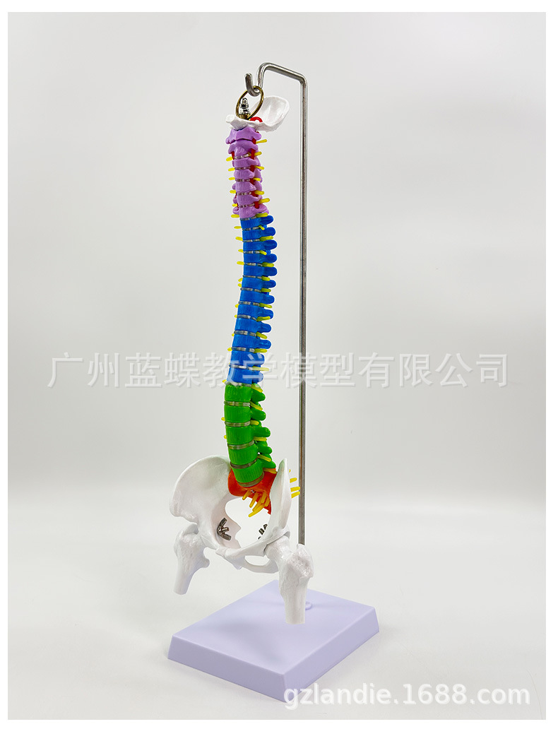 详情_07