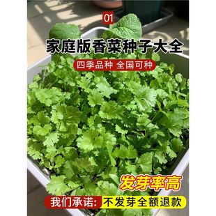 ��˷N���ļ����~ܾݴ�ѷN��Ʒ�N�̨�߲˴�ȫ�r��С�~�˷N��