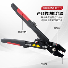 8���p�יE�A���X���Q䓽z�K�X���Q �X���K��䓽z�K����~�h�����Q