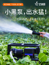 水泵锂电抽水浇菜自吸电动充电式12v24v直流农用大功率抽水机