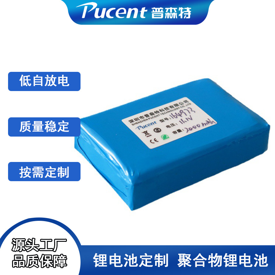 厂家供应LED圣诞灯串电池12V充电锂电池12v12v锂电高容量可充电