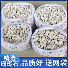 ȻɺǞVɺʯ~׵ɰ~^Vσˮ|̿