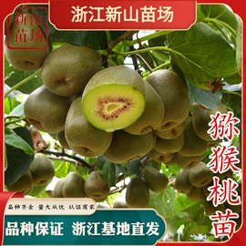 园林果树;乔木;灌木