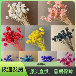 Сɽ�������������M�ڻ���ins�Ҿ��b�diy�Ĕz������Ͽ羳���l