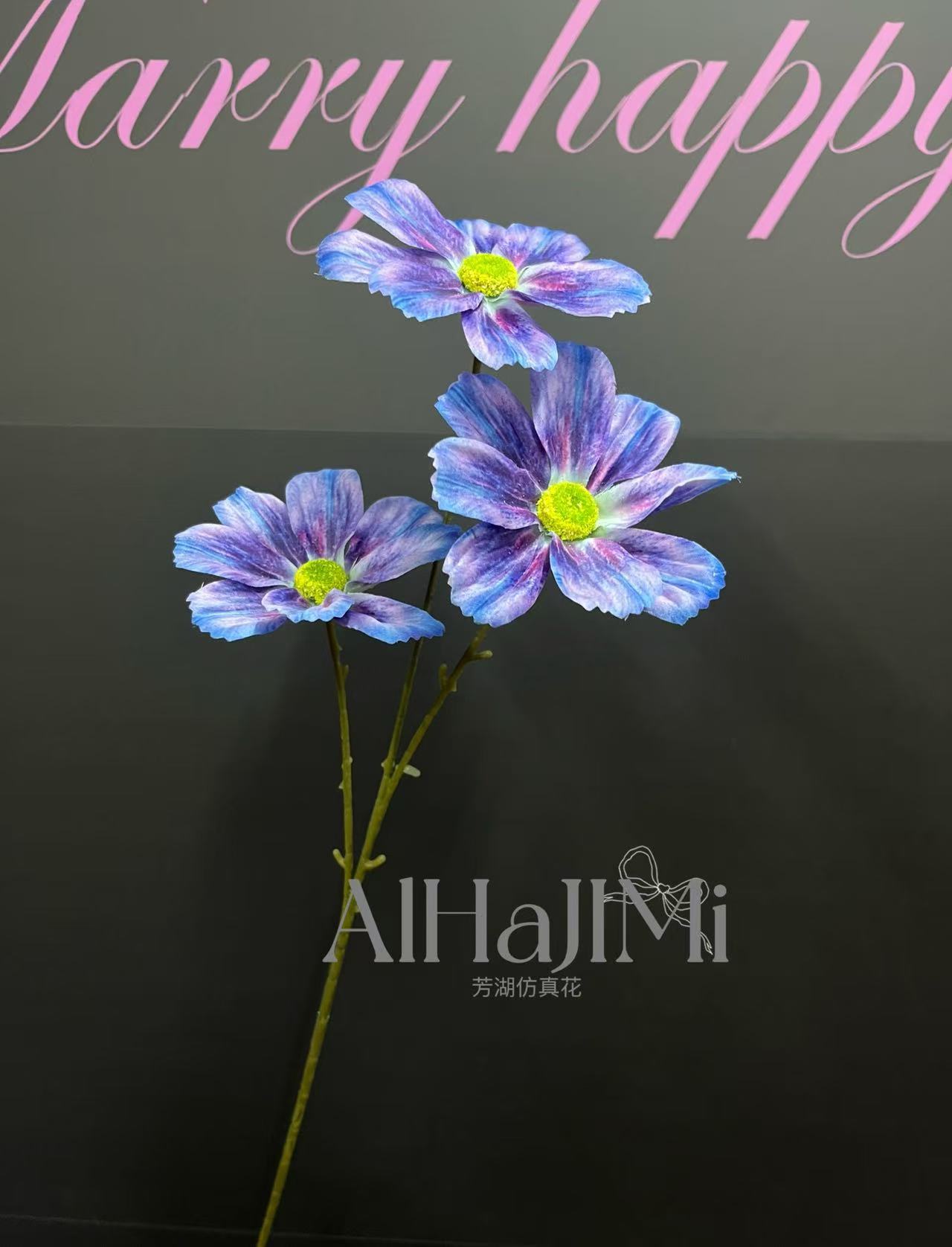 微信图片_20250218094429