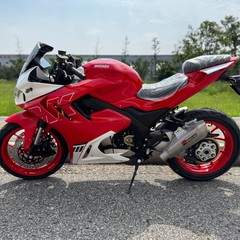 電動バイク ドゥカッソン DK 大人用二輪電動バイク 72v ハイパワー電動バイク ストリートバイク スポーツカー