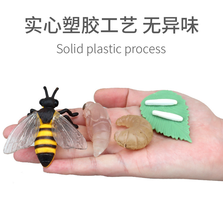 生长周期内页_03