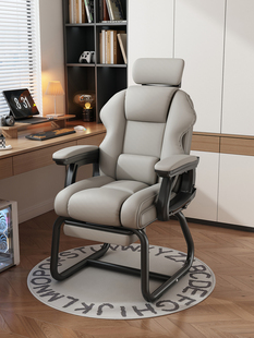 Arch Chair Computer Chair Home Comfortable Sedentary Office Chair E-Sports Chair Reclining Sofa Backrest Desk Boss Chair