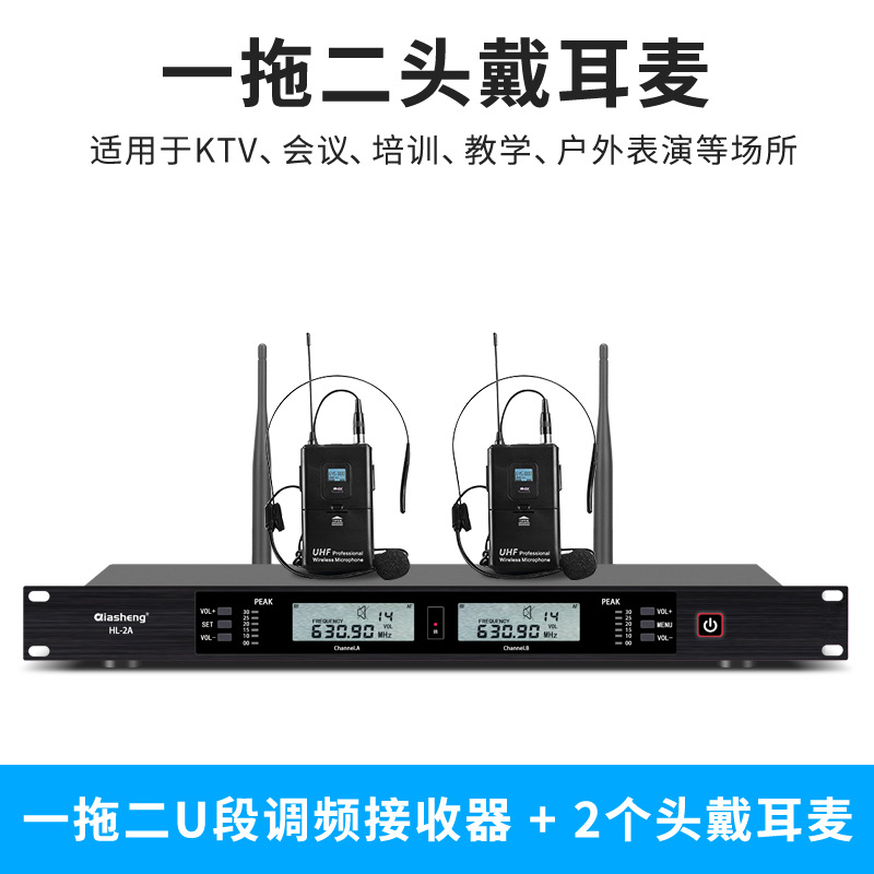 Micrófono inalámbrico TMD/Tengmandi de doble canal FM U-band Bluetooth para cantar, conferencias, KTV, verdadera diversidad
