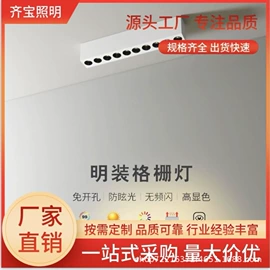 射灯;筒灯;磁吸轨道灯