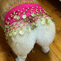 Интернет-знаменитость Корги, цепочка для танца живота, цепочка на талию с блестками, страстная собака, сексуальный танец с колышущейся попкой, танцевальный шарф на бедрах Lanqi