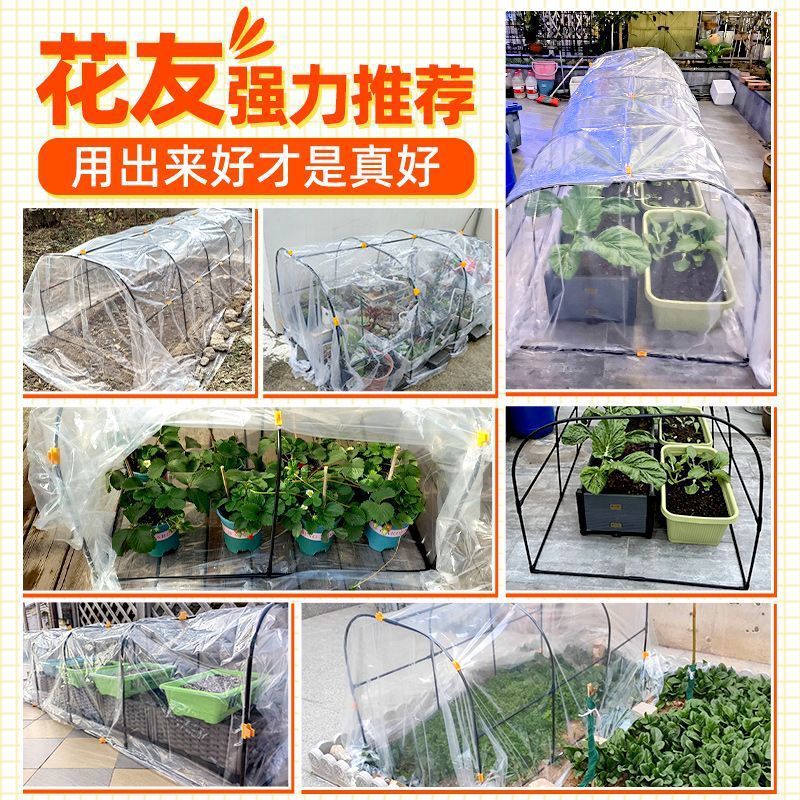 겨울 야외 꽃 방 단열 창고 안뜰 야외 녹색 식물 꽃 온실 야채 온실 온실 꽃 창고 가구