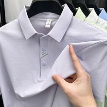 �����r�����e�\��Polo�������ļ����{����͸�����m���д������