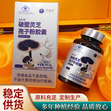 跨境外贸破壁灵芝孢子粉胶囊 口服胶囊随身携带产品现货批发