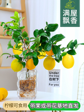 ˮ��ֲ��Gֲ�҃������ﶬ���B��ˮ���ʘ仨���辰��ۘ䎧�����l