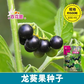种子;蔬菜种子
