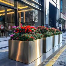 ���ⲻ�P䓻���M��ͥԺ�Nֲ���̨�����̲����[�Ƶ껨������