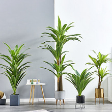 WLinsWtͷľֲ҃Կ͏d[Obؼ٘