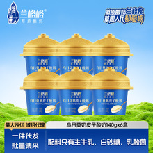 ������ԭ�����������Ī��Ƥ������140g*6�е���������������