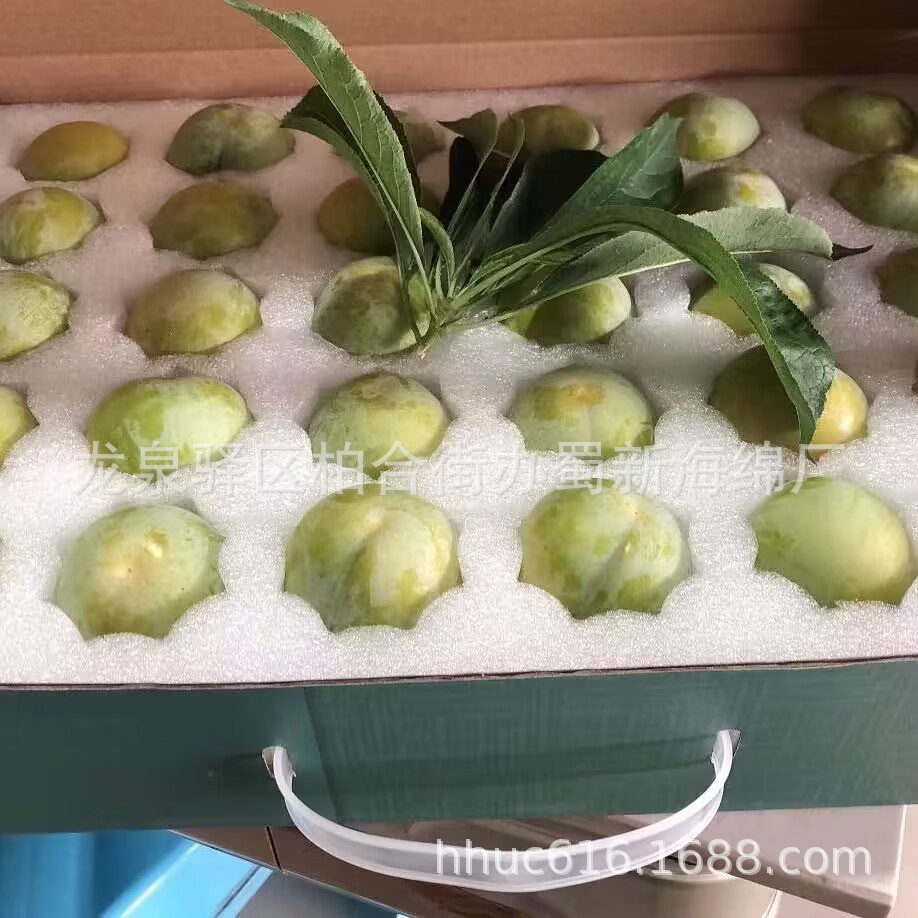 供应李子抗震包装泡棉/蜂糖李内托包装泡沫/蜂糖李定位包装海绵
